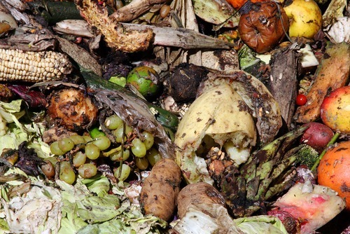 wkd_ecoscraps_060511_1