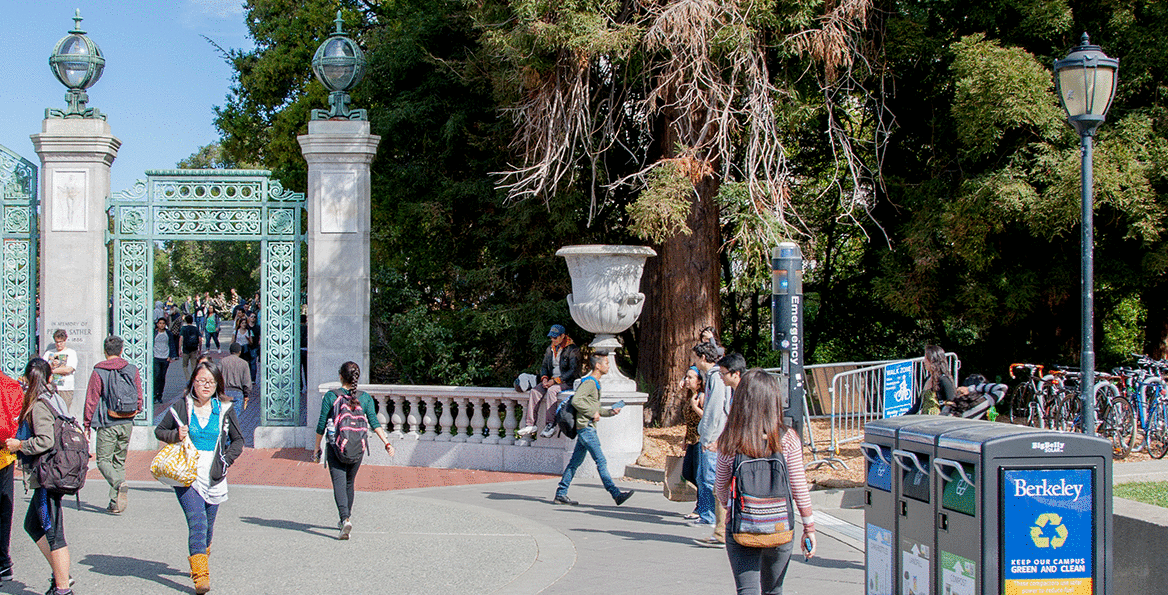 BG-image-campus-6-651856-edited.gif